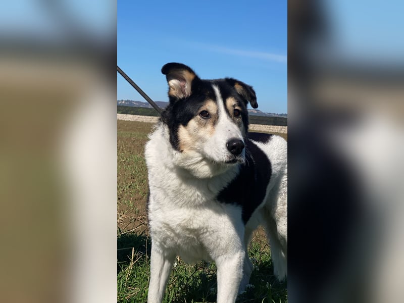 Giangy - Ich hätte da noch Kapazitäten frei