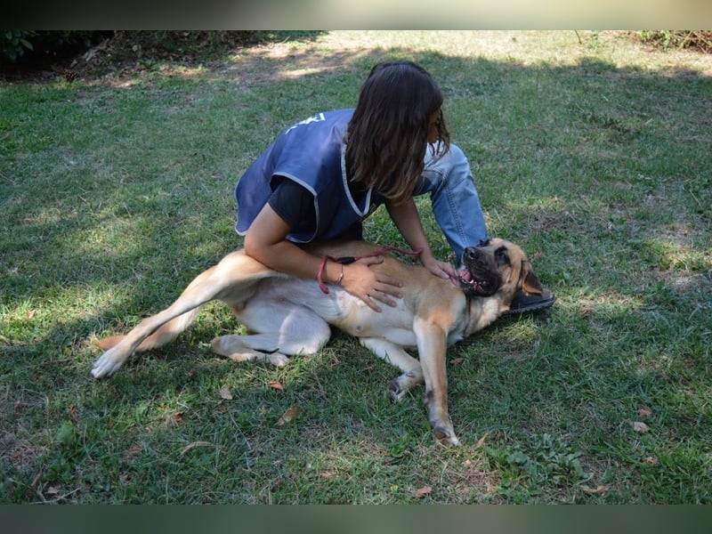 Adhara - Möchte ihre Energie versprühen