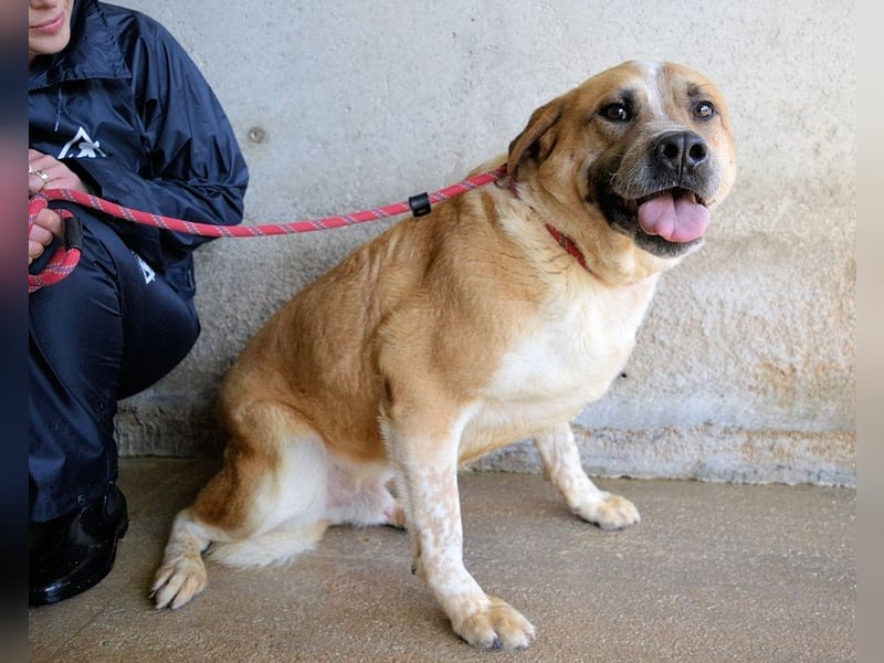 Savery - Drei Leben. Drei Chancen.