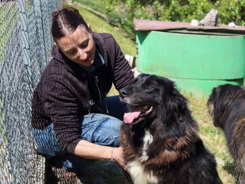 Quennel - Black velvet, oder...