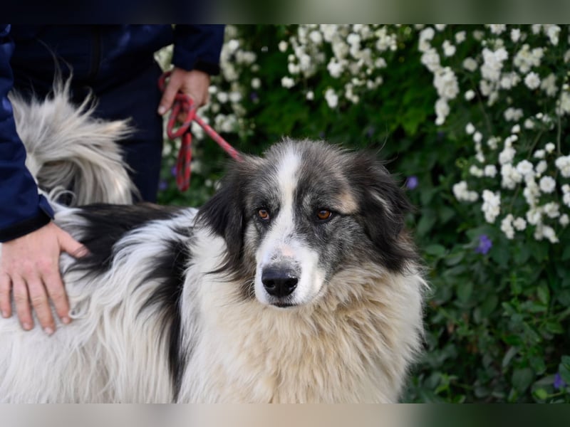 Poncio - wird zum Musterschüler