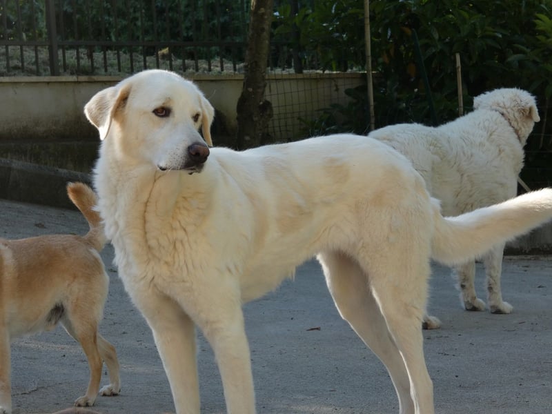 Clara - Wenn du es uns doch erzählen könntest