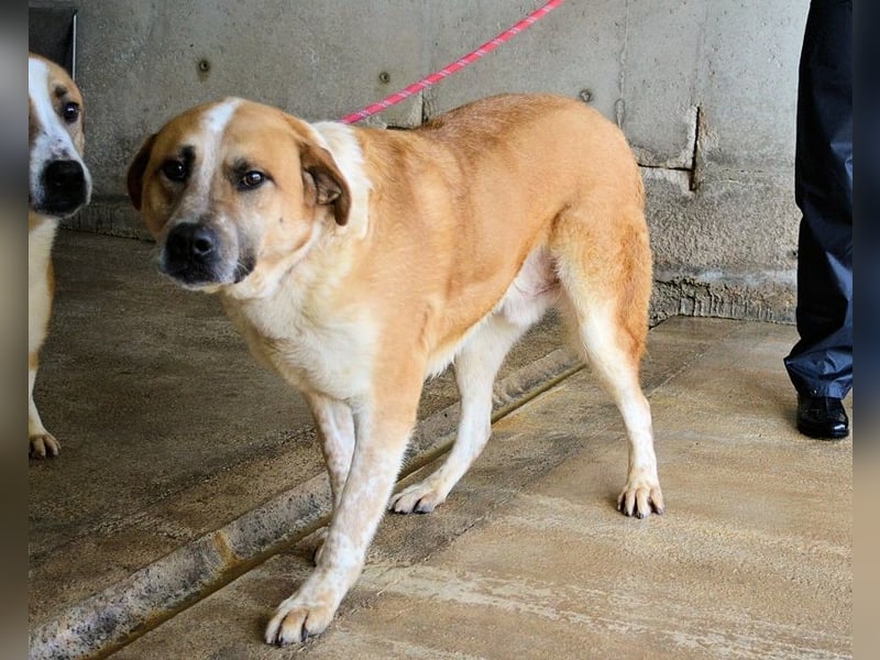 Savery - Drei Leben. Drei Chancen.