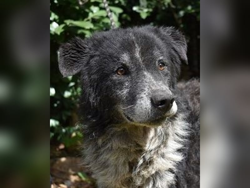 Declan - Irgendwie, irgendwo, irgendwann?