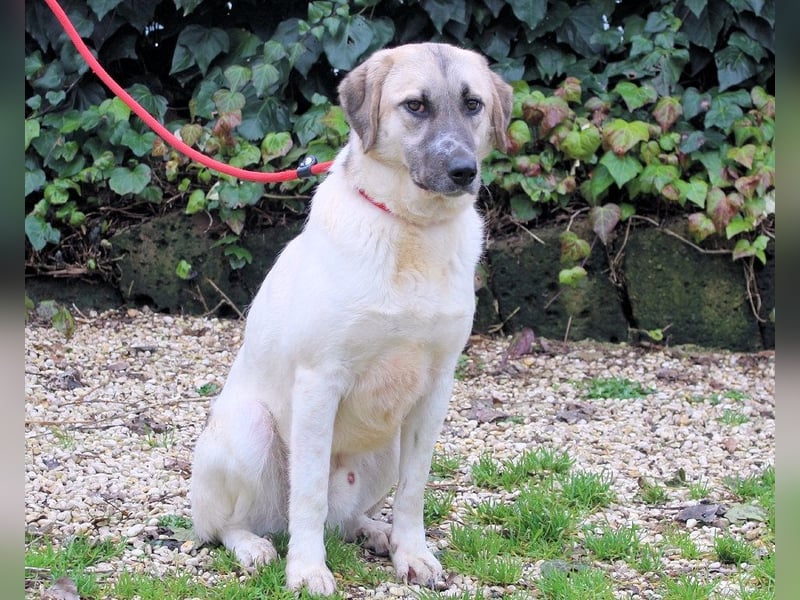 Skitter - Im gedimmten Licht, vor einer geschlossenen Tür
