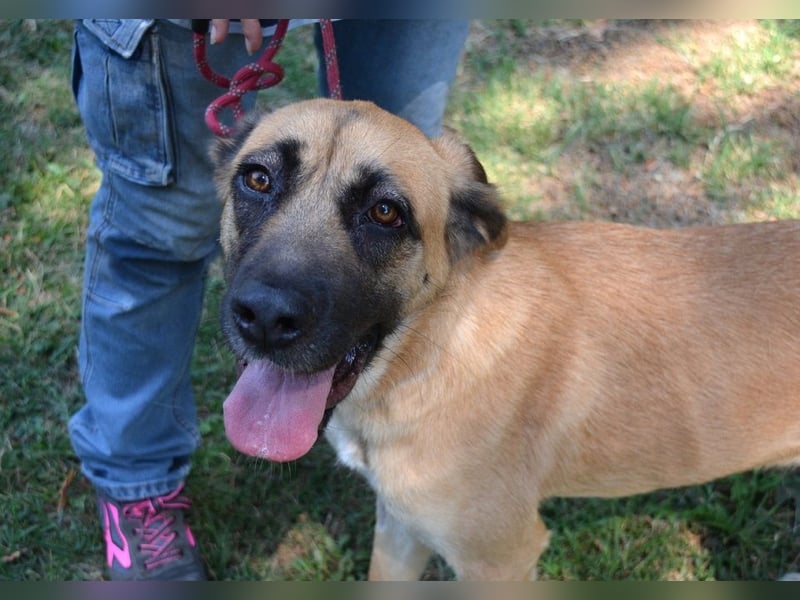 Adhara - Möchte ihre Energie versprühen