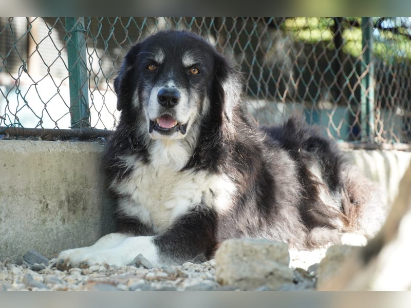 Kuno - Ein Ende in Sicht?