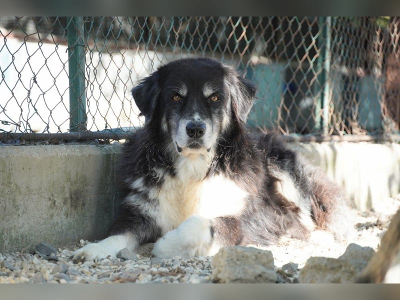 Kuno - Ein Ende in Sicht?