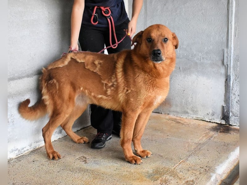 Antwin - irgendwo ist alles schön!