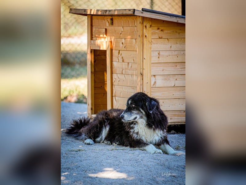 Kuno - Ein Ende in Sicht?