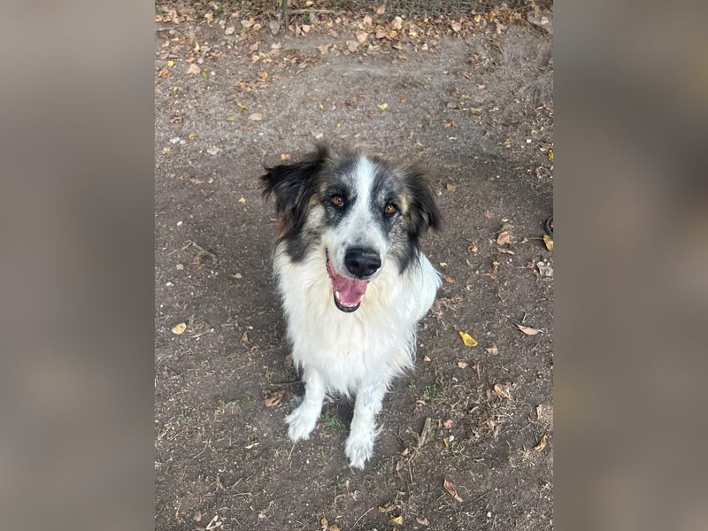 Poncio - wird zum Musterschüler