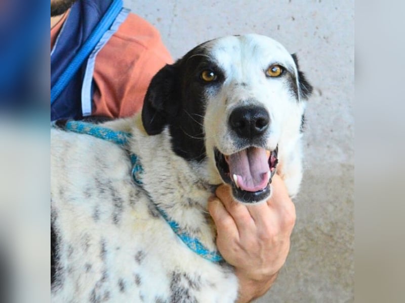 Arleene - ist voll bedingungsloser Liebe