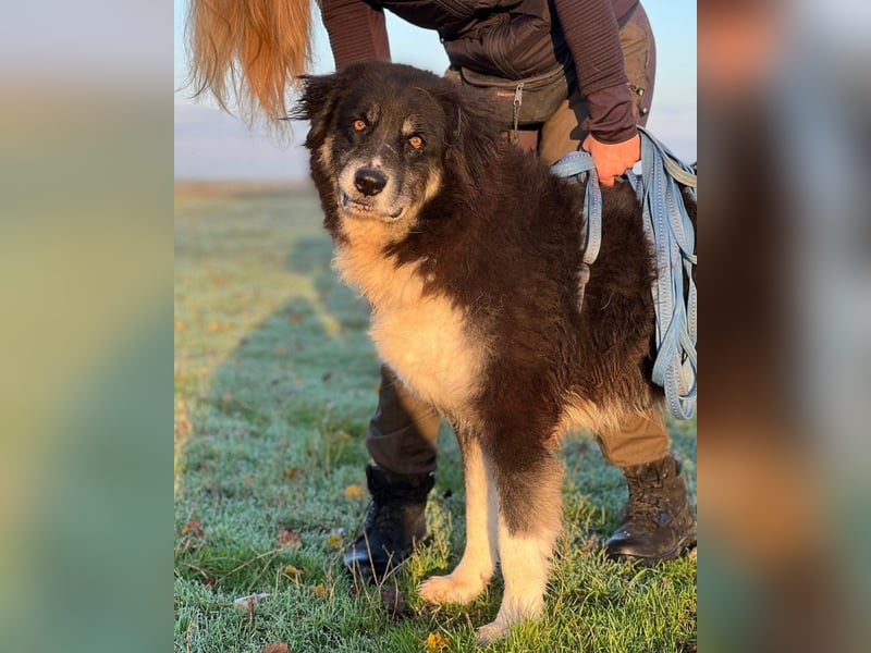 Kuno - Ein Ende in Sicht?