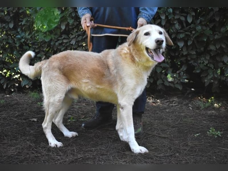 Islay - Menschenherzen-im-Sturm-Eroberer