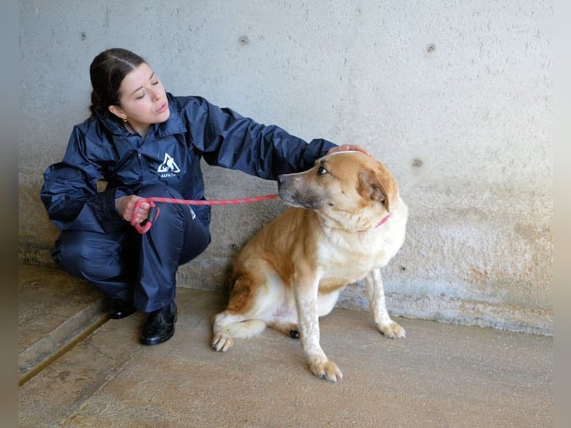 Savery - Drei Leben. Drei Chancen.