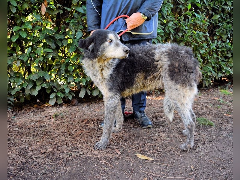 Declan - Irgendwie, irgendwo, irgendwann?