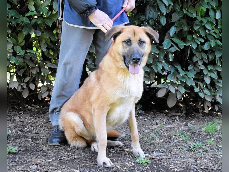 Anthaniel - Groß genug für "Wow" - zu charmant für "Weiter".