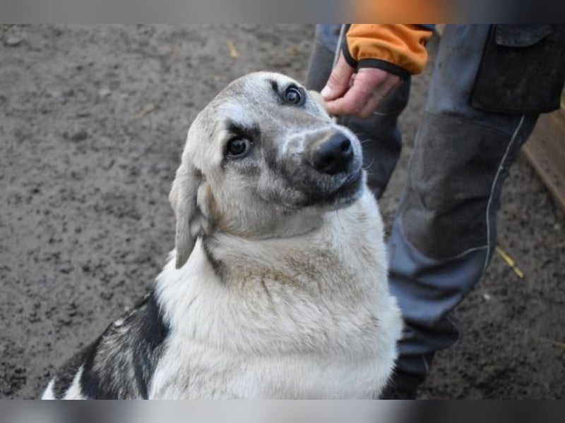 Skitter - Im gedimmten Licht, vor einer geschlossenen Tür