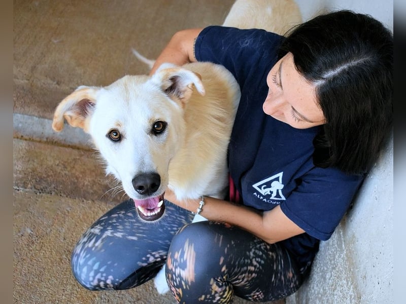 Rurik - Das geheime Feuerwerk