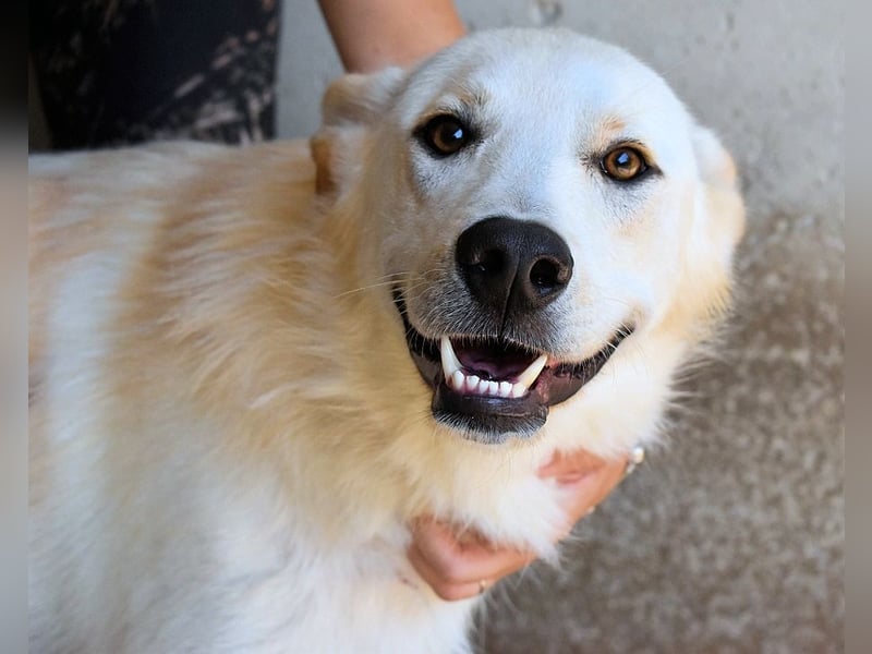 Rurik - Das geheime Feuerwerk