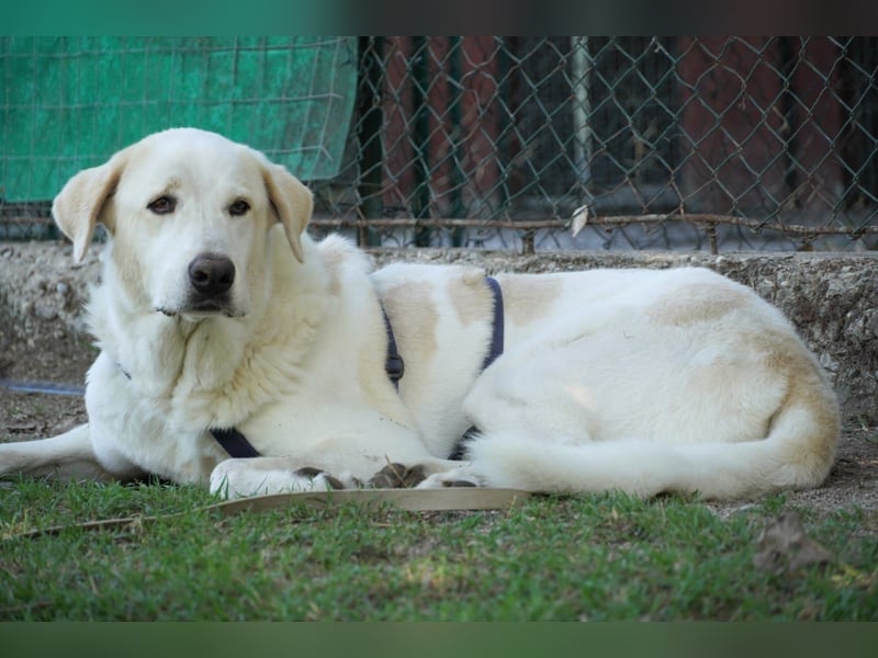 Clara - geht ihren Weg weiter