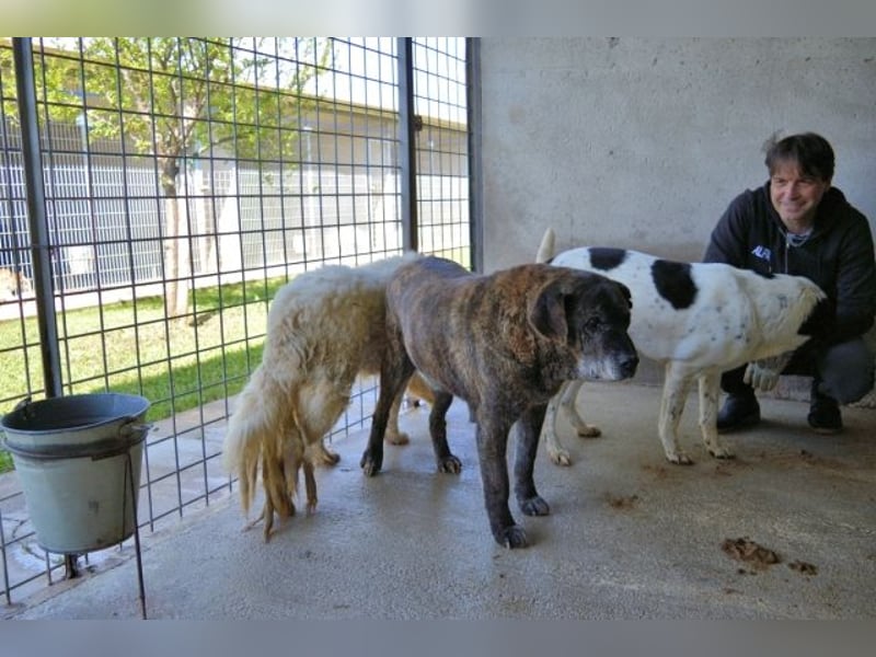 Annius-Hinter der grummeligen Fassade steckt ein Schatz