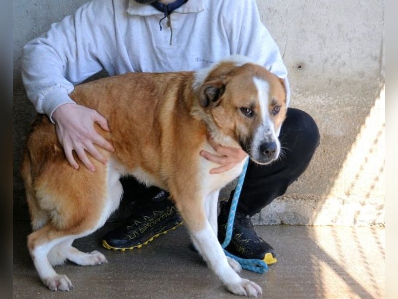 Scotlee - Drei Leben. Drei Chancen.