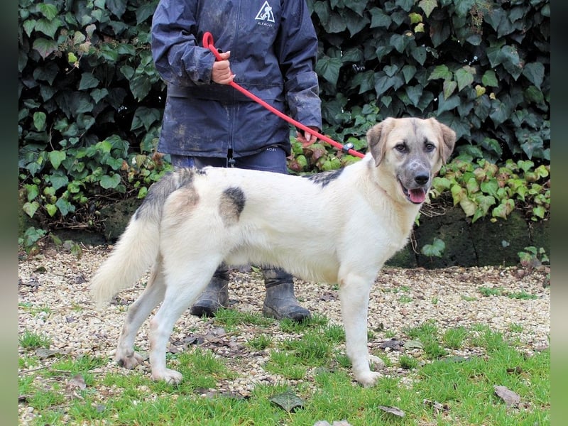 Skitter - Im gedimmten Licht, vor einer geschlossenen Tür