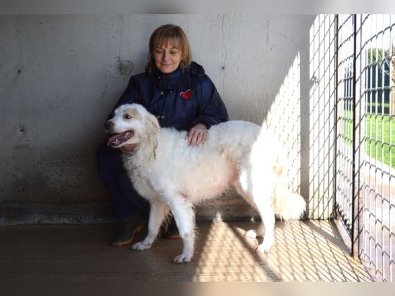 Gualter - und der staubige, unsichtbare Koffer