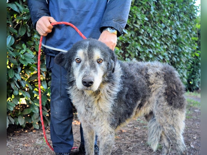 Declan - Irgendwie, irgendwo, irgendwann?