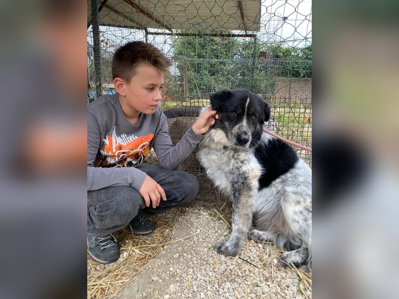 Ray - Zeig mir die Welt außerhalb des Zwingers...