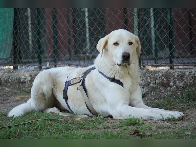 Clara - geht ihren Weg weiter