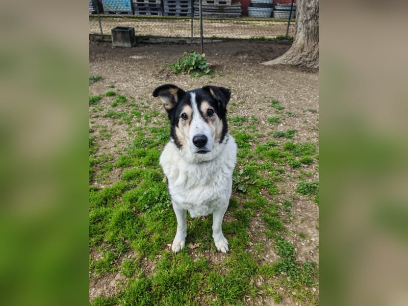 Giangy - Ich hätte da noch Kapazitäten frei