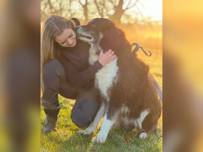 Kuno - Ein Ende in Sicht?