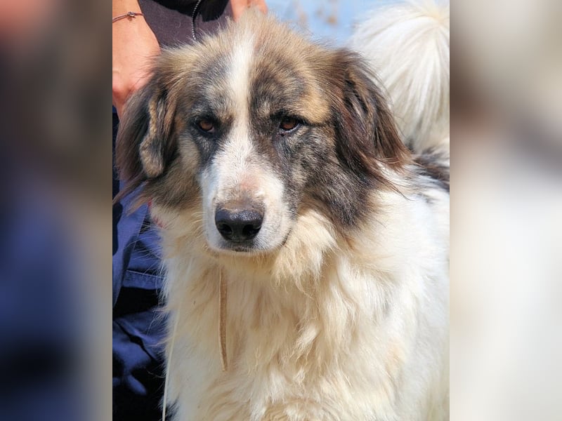 Poncio - wird zum Musterschüler