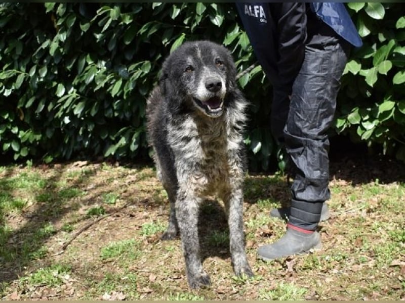 Declan - Irgendwie, irgendwo, irgendwann?