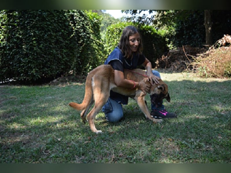 Adhara - Möchte ihre Energie versprühen