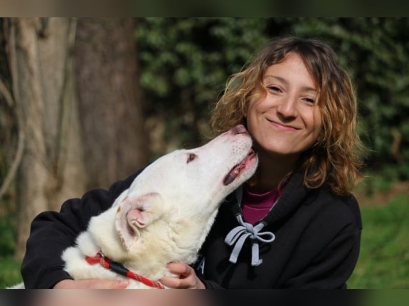 Sean - das Piepsen hinter den Gittern