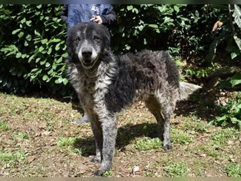 Declan - Irgendwie, irgendwo, irgendwann?