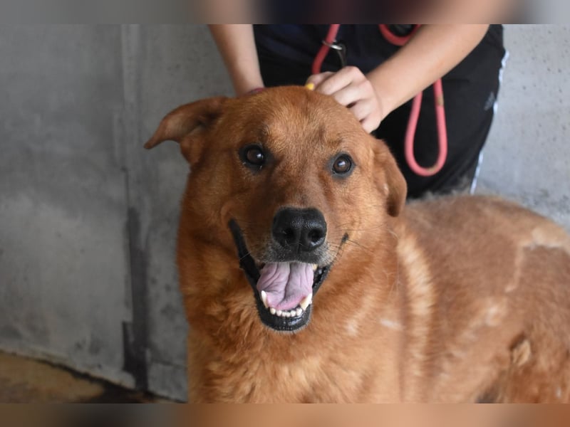 Antwin - irgendwo ist alles schön!