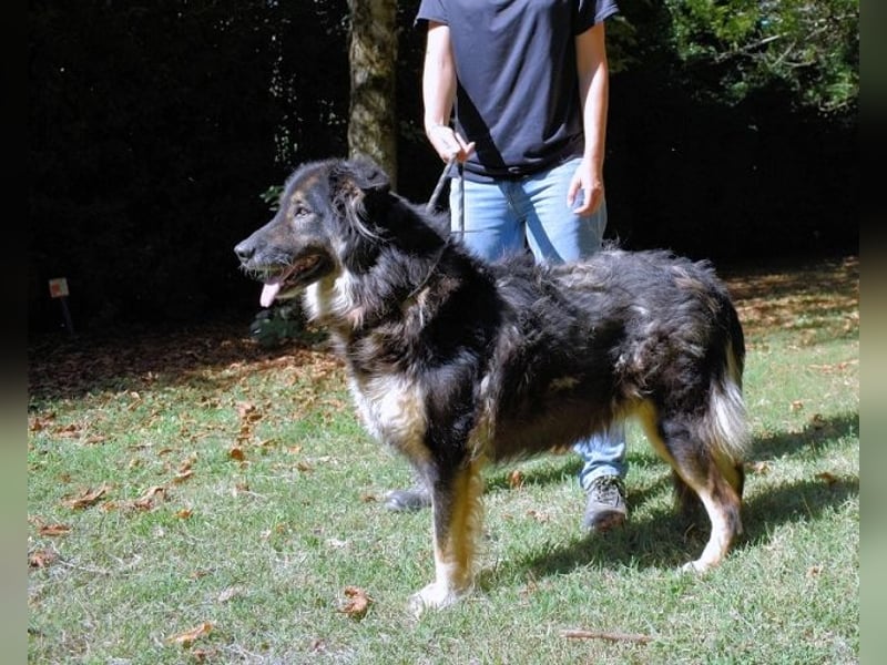 Carolita - und du - ein Dreamteam