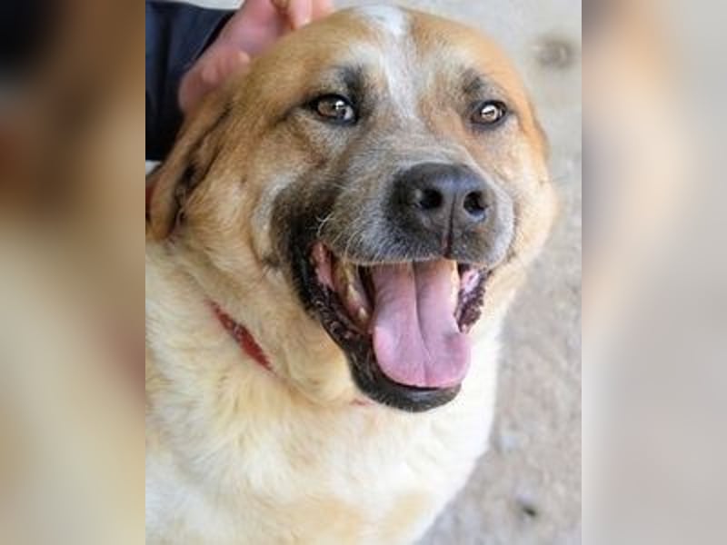 Savery - Drei Leben. Drei Chancen.