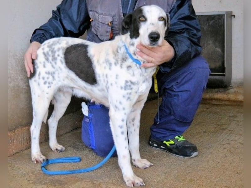 Arleene - Fachkraft für Betonpädagogik