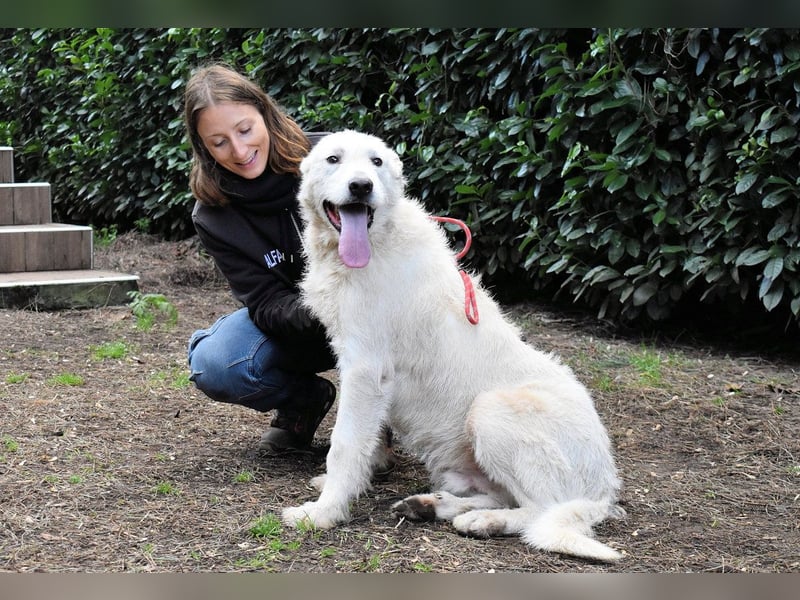 Ozlo - Riesenbaby sucht Freund fürs restliche Leben