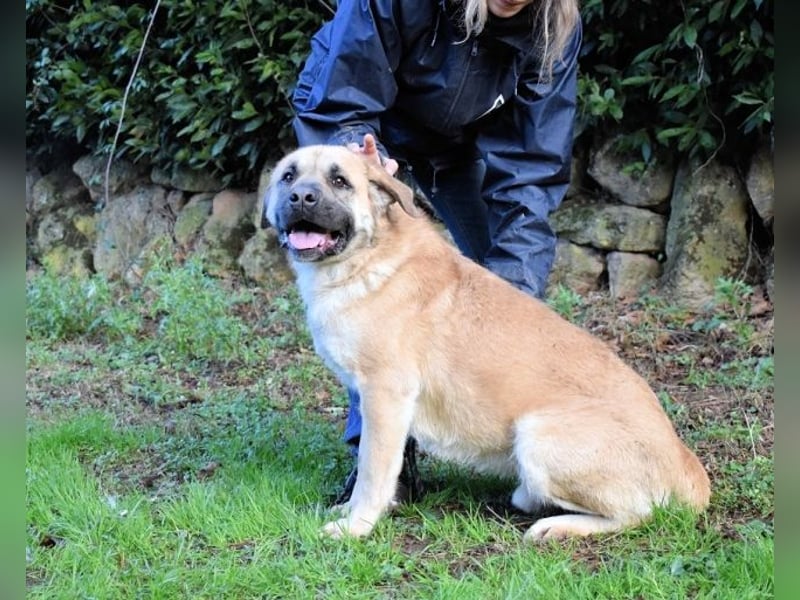 Joonas - wohin führt sein Weg?