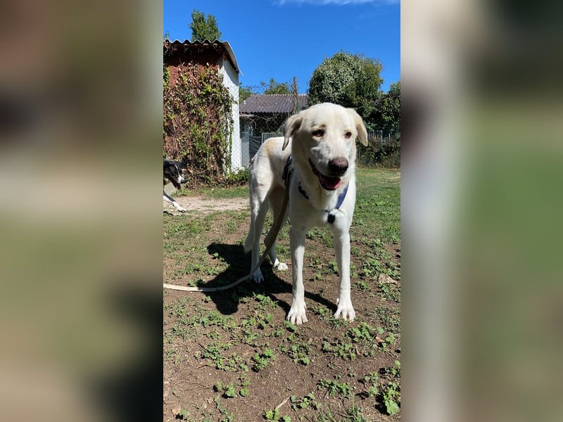 Clara - Wenn du es uns doch erzählen könntest