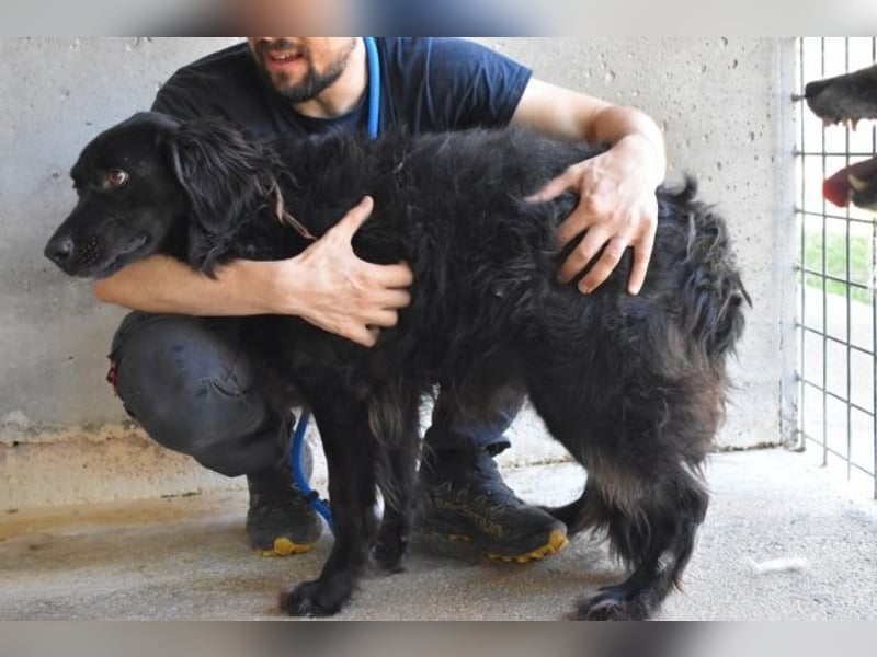 Kael - Nur ein einziges mal die Chance auf Leben