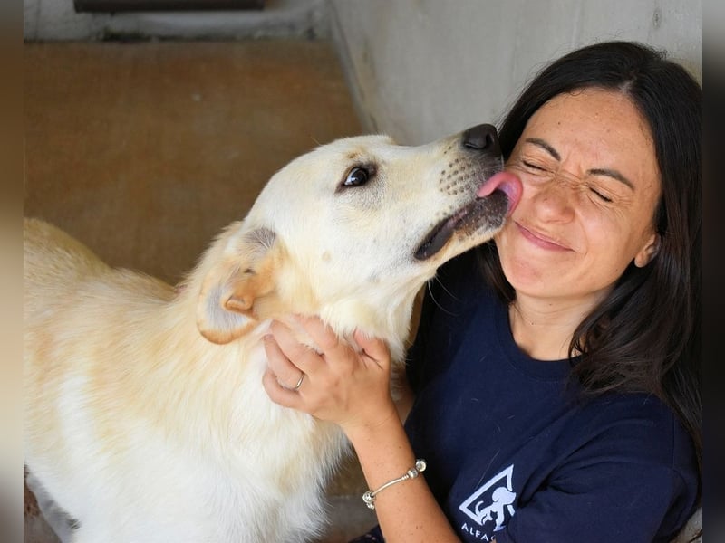 Rurik - Das geheime Feuerwerk