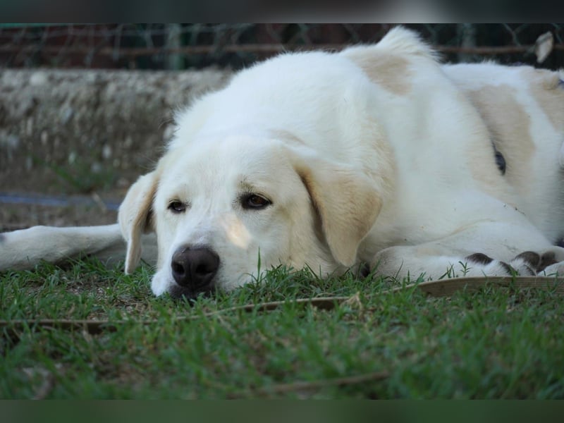 Clara - Wenn du es uns doch erzählen könntest