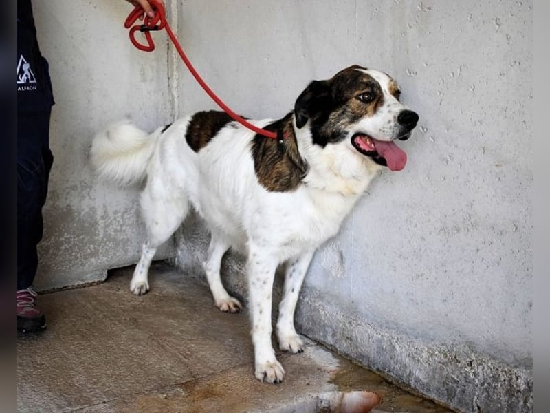 Jontar - Die Geschichte, die keiner liest